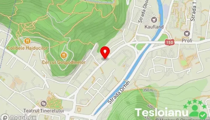 Service Auto Tudor - Romania