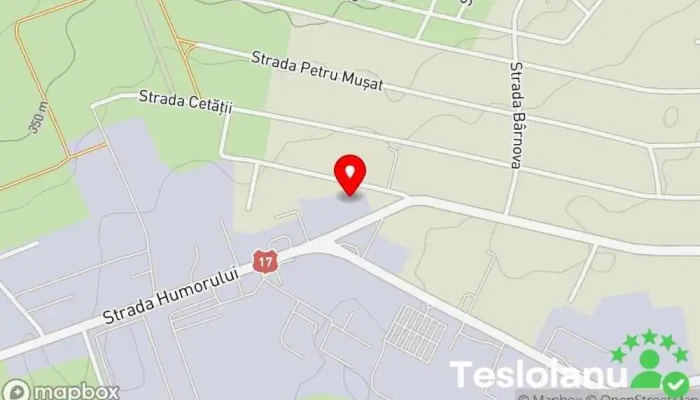 hartă a Servicii Csv Service auto pentru optimizări în Șcheia