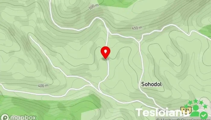 hartă a Sohodol  în Sohodol