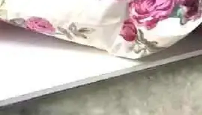 Somnic Pufos Croitoria Rolia Junior Club De La Proprietar - Câmpia Turzii