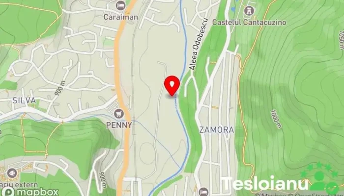 Soseaua ocolitoare a Busteniului - România