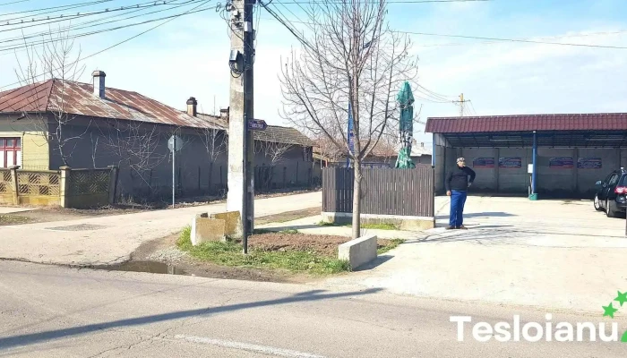 Spalatorie Auto - Malu