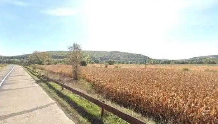 Statie Itp Dolhestii Mari -  Street View Si 360deg - Dolheștii Mari