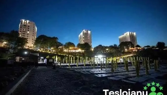 Steaua de Mare - Eforie Resort - Hotelurile Delfinul & Meduza - Eforie Nord