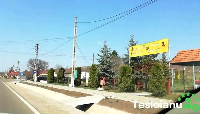 Stefan Cel Mare Videoclipuri - Ștefan Cel Mare