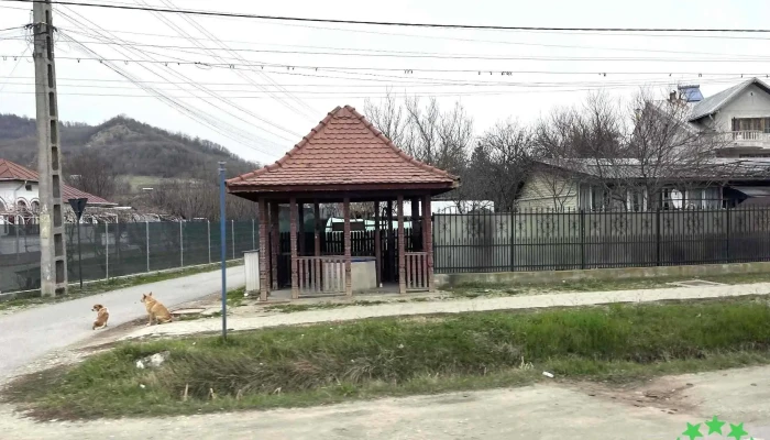 Stefanesti Adresă - Ștefănești