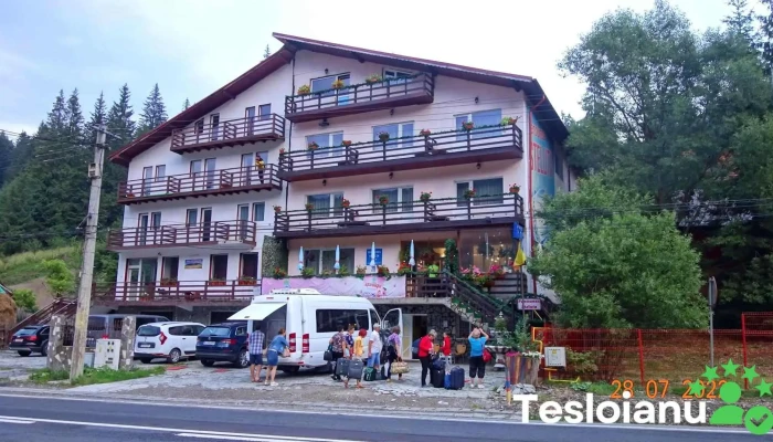 Steluta Prețuri - Predeal