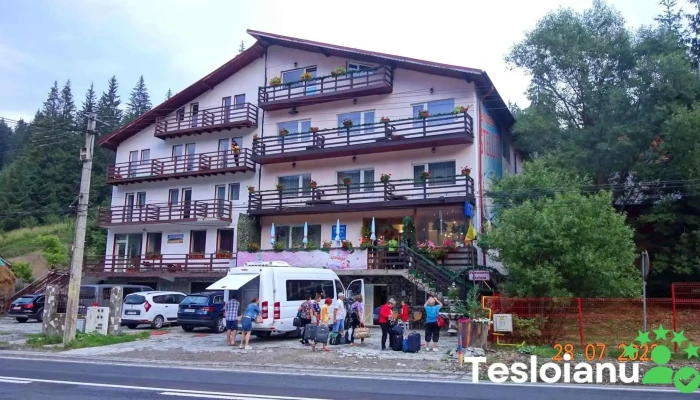 Steluța - Predeal