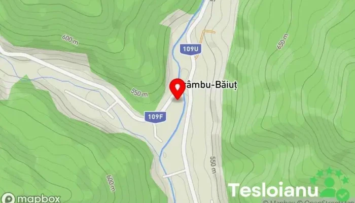 hartă a Strâmbu-Băiuț  în Strâmbu-Băiuț