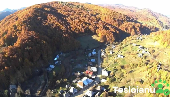 Strambu Baiut Munte - Strâmbu-băiuț