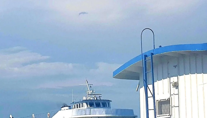 Sulina -    Tulcea Ferry Landing Stage Sulina - - Sulina