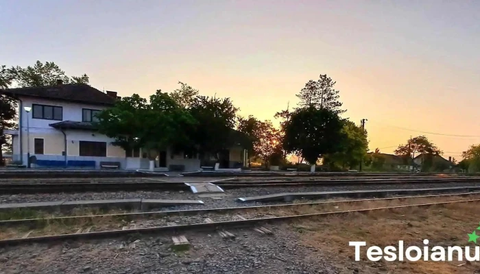Suncuius Gara - Șuncuiuș