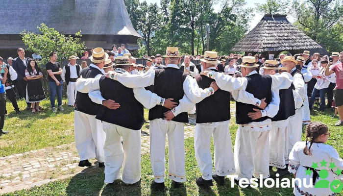 Surdesti Videoclipuri - Șurdești