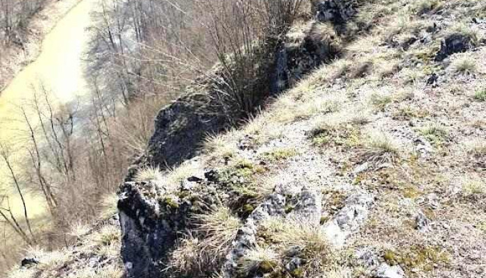 Sălnița - Sălnița