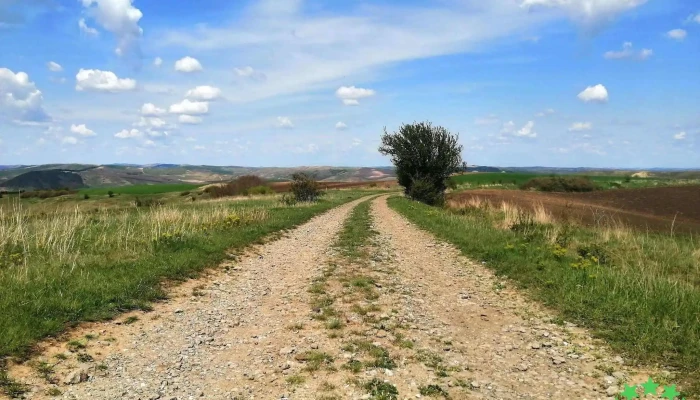 Tablaseni Recenzii - Tăblășeni