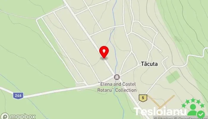 hartă a Tăcuta  în Tăcuta