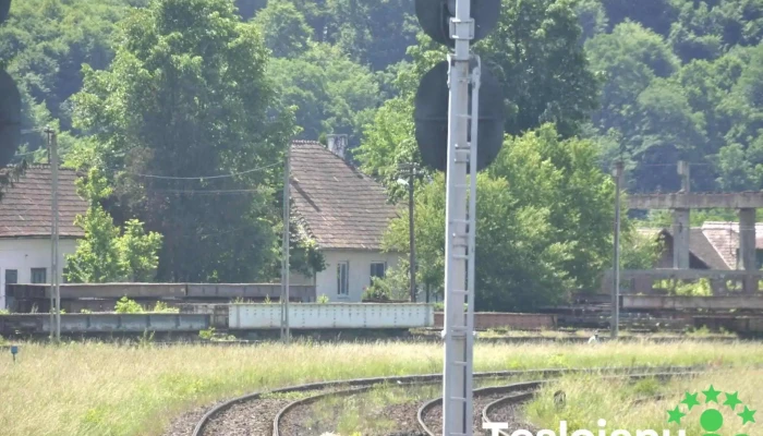 Talmaciu Sina - Tălmaciu