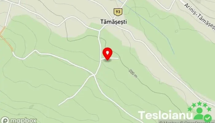 hartă a Tămăşeşti  în Tămăşeşti