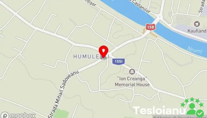 hartă a Tamaslacaru – sculpturi in lemn  în Humulești