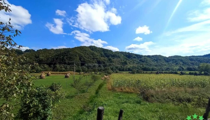 Tara Lapusului Munte - Târgu Lăpuș