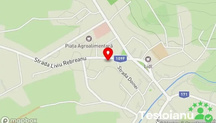 hartă a Târgu Lăpuș  în Târgu Lăpuș