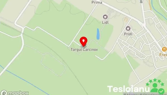 hartă a Targul Carcinov Magazin în Topoloveni
