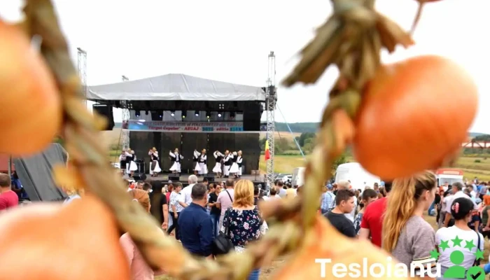 Targul Cepelor -  De La Proprietar - Asuaju De Sus