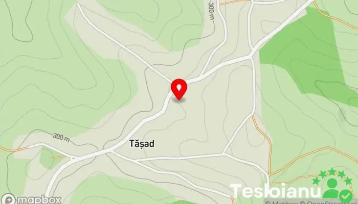 hartă a Tăşad  în Tăşad