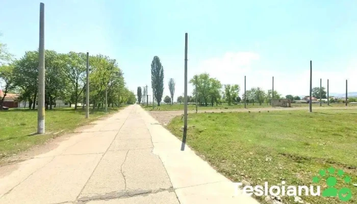 Tech Steel Starter - Săvinești 610016
