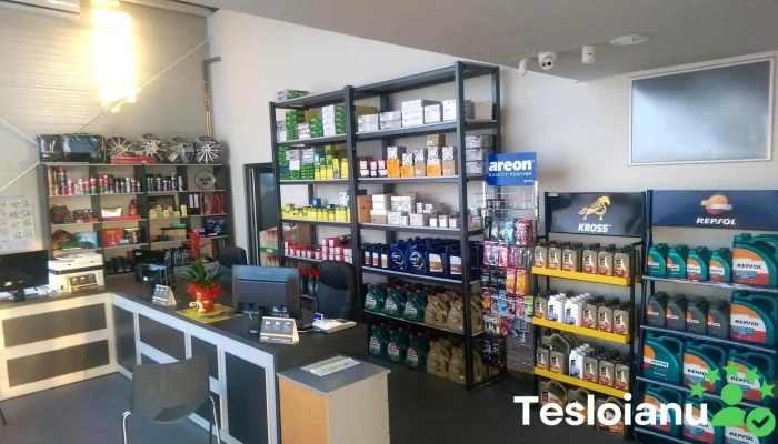 Tehno Dinamic -    Q Service Interior - Șcheia