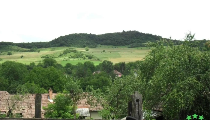 Teleac -  Adresă - Teleac