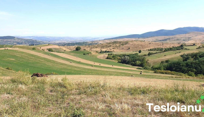 Telna Reduceri - Ţelna