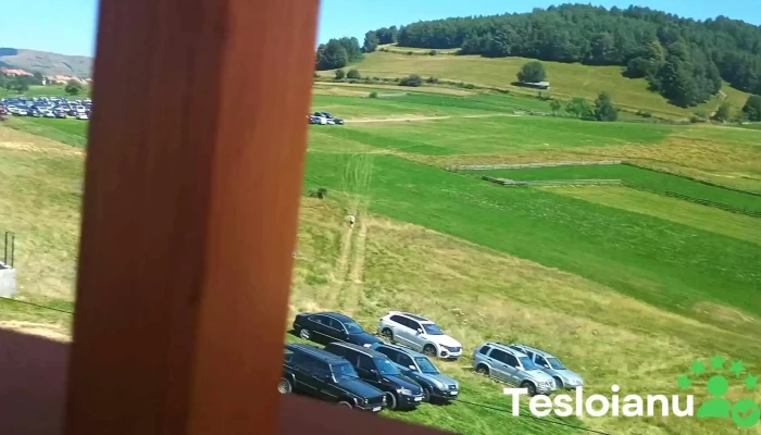 Terasa Lu Iliuta Videoclipuri - Jina