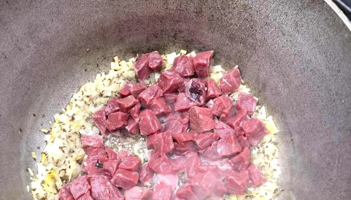 Tinca -  Reduceri - Tinca