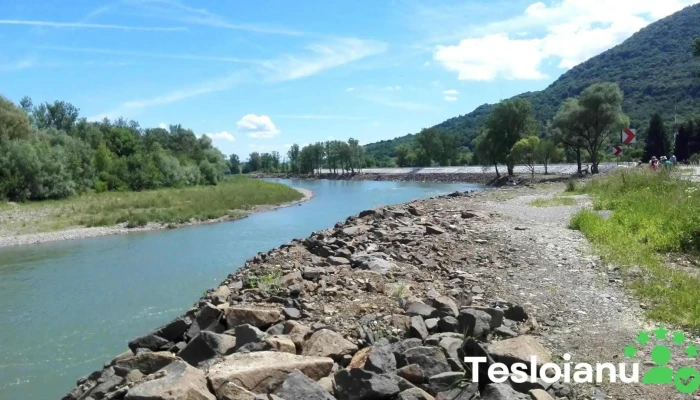 Tisa - Tisa