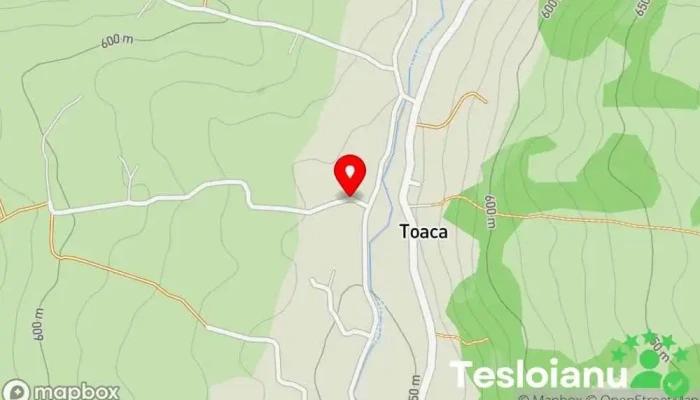hartă a Toaca  în Toaca
