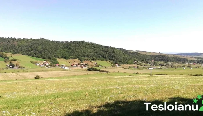 Tofalau Videoclipuri - Tofalău