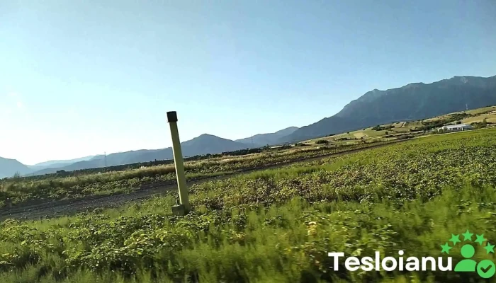 Tohanu Nou - Romania