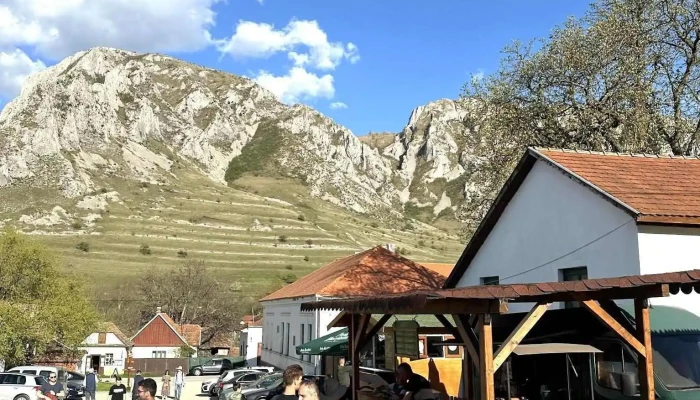 Torockoi   Kurtoskalacs Cele Mai Recente - Rimetea