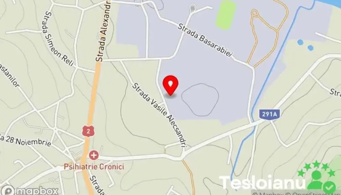 hartă a Total plus Q SERVICE Service auto în Siret