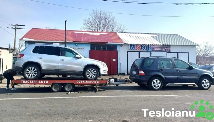 Tractari auto Tyt - Turnu Măgurele 145200