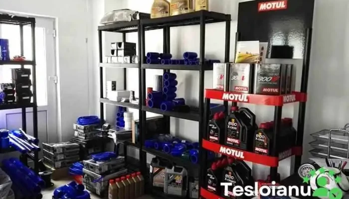 Tuning-Cars.ro - Piese Auto Tuning - Bl 84