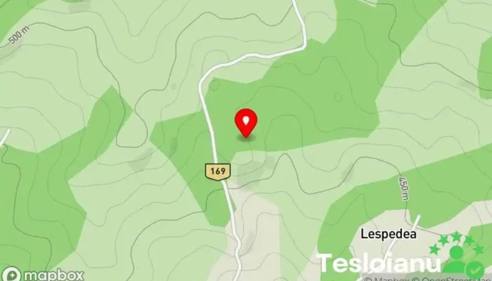 hartă a Turceşti  în Turceşti