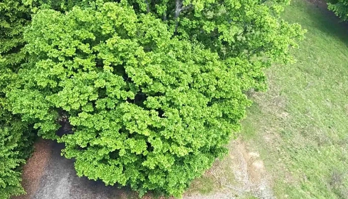 Turnul Belvedere -  Locație - Sovata