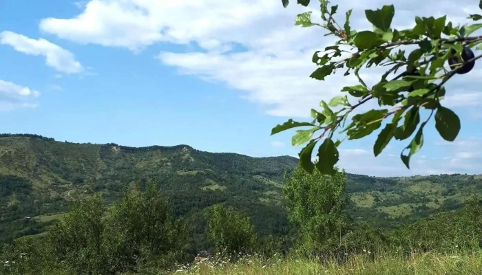 Umbraresti Munte - Umbrărești