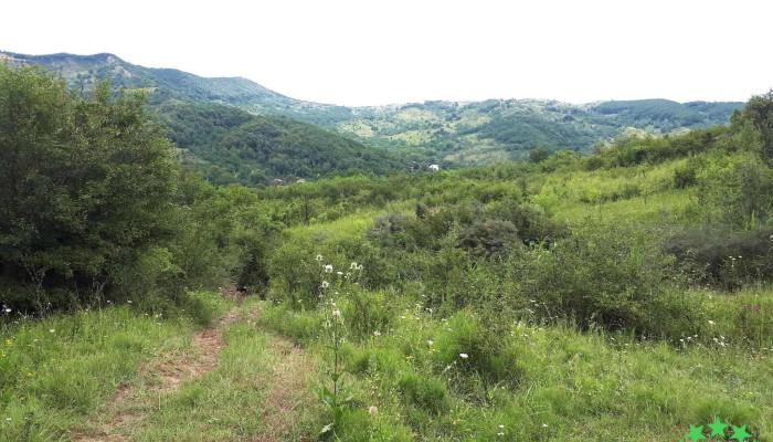 Umbraresti Prețuri - Umbrărești