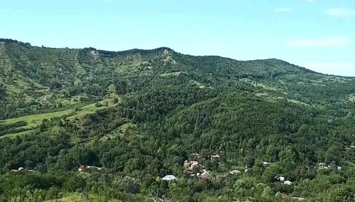 Umbraresti Videoclipuri - Umbrărești