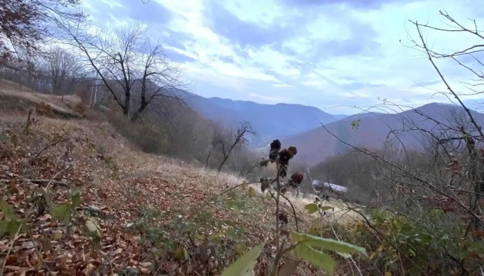 Un Colt De Rai In Cugir Munte - Cugir