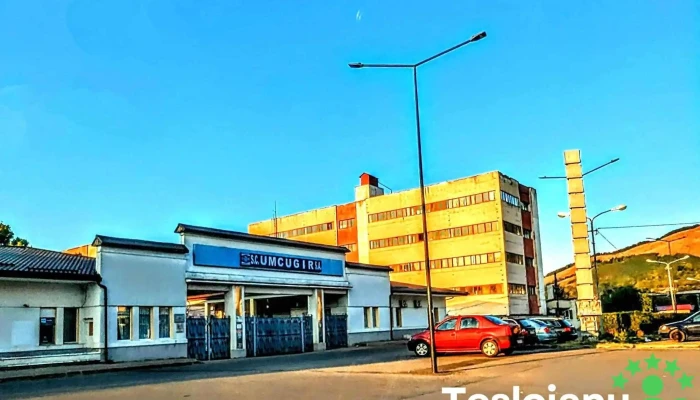 Uzina Mecanica Cugir - Cugir 515600
