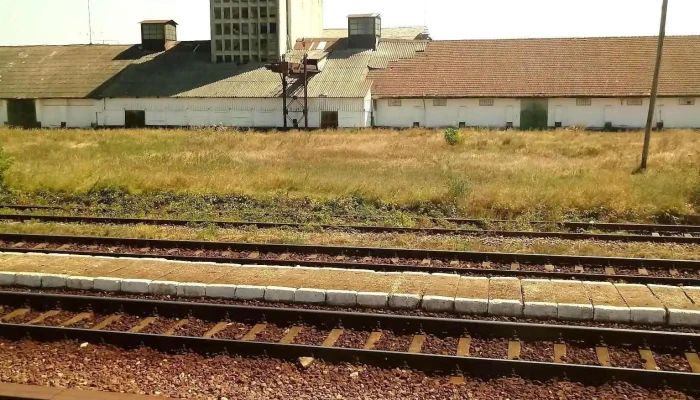 Uzuc - Ploiești 100335